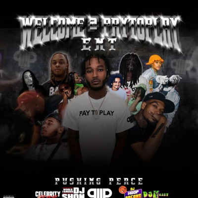 PUSHING PEACE Vol:1 (PayToPlay Mix)
