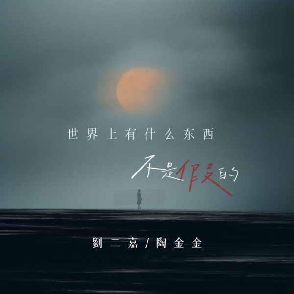 世界上有什么东西不是假的 - Single