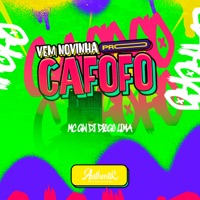 Vem Novinha pro Cafofo - Single - Dj Diogo Lima & MC GW