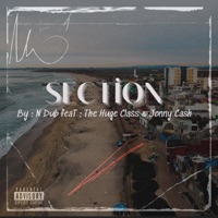 Section (feat. The Huge Class) - Single - N Dub