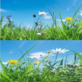 goingcraazy (feat. $hamZit) .win23