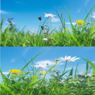 goingcraazy (feat. $hamZit) - Single