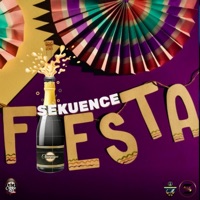 Fiesta - Single - Sekuence