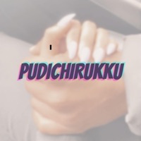 Pudichirukku (Reprise) - Single - Naveena & MJ MELODIES