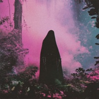 Letdown / Misery Loves Company - EP - Colorblind