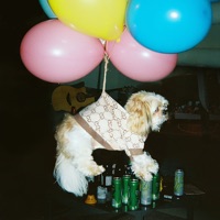 KLOVN - Single - Rakkere & Bargee