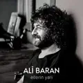 ELLERIN YARI