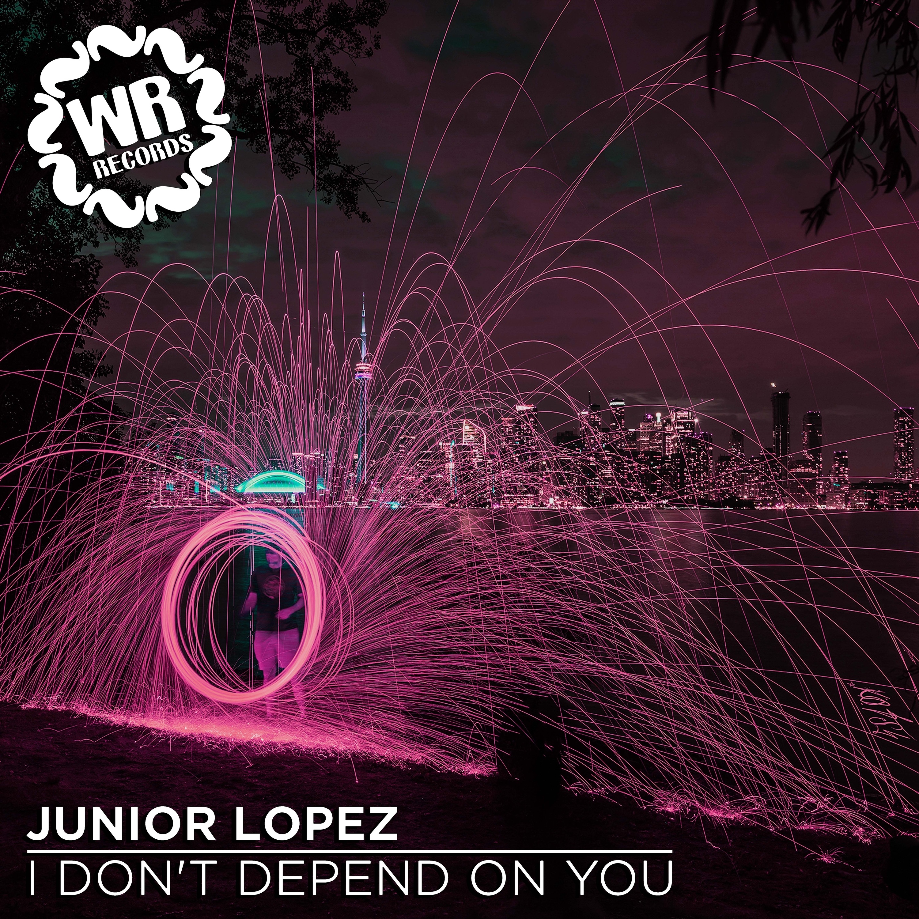 I Don't Depend on You - Single