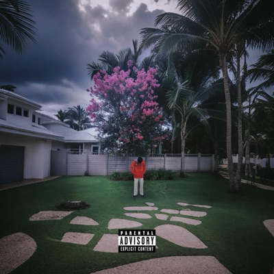 XV - EP