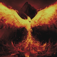 Phoenix - Single - psycho & Kl1ki