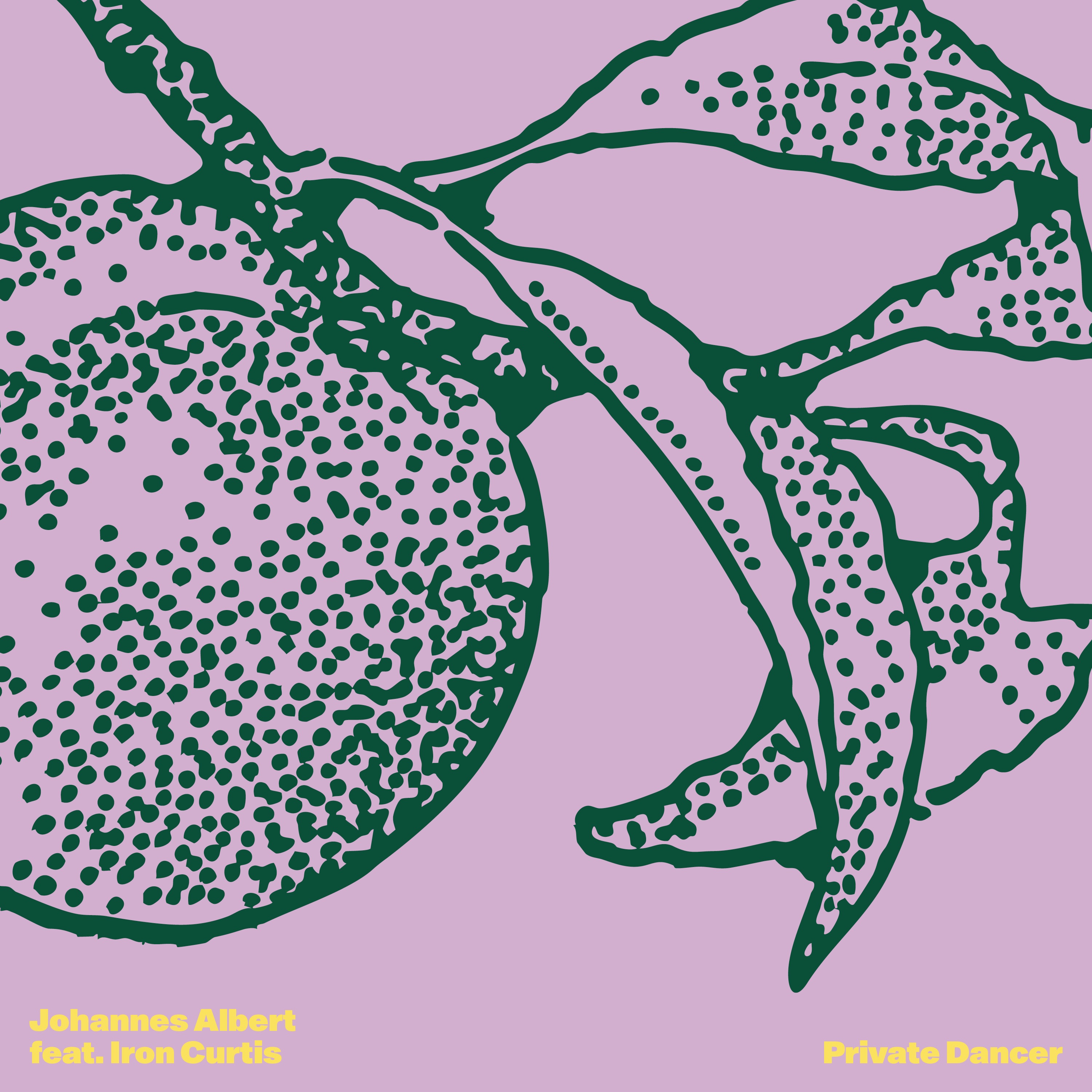 Private Dancer - Single