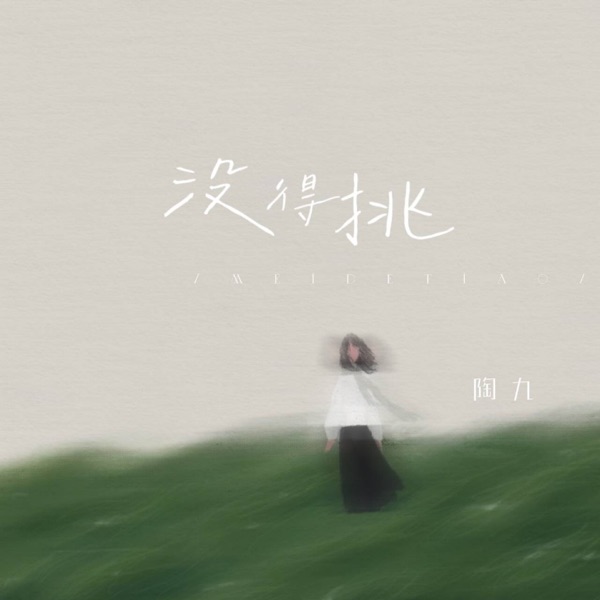 没得挑 - Single
