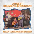 Hallo goedemorgen holland