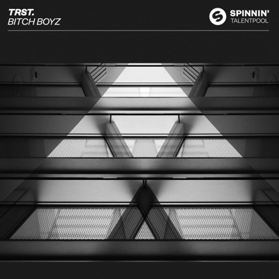 Bitch Boyz (Extended Mix) - Single