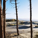 Primordial Slot Machine