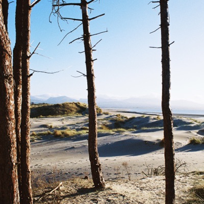 Eat Quiche, Sleep, Repeat artwork