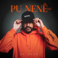 Pu Nenê 3.0 - Dj Nene