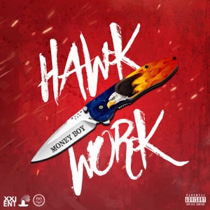 Hawk Work