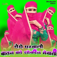 तेरो घरवालों बातन को शौकीन मेवाती - Single - Aamin Mewati & Wasim Akram Alwar