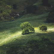 the peace of God - Khamir Music