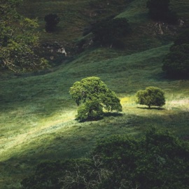 the peace of God Khamir Music