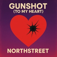 Gunshot (To My Heart)