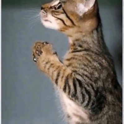 Haveyoueverbeeninlove? - Single