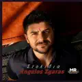 Stolidia