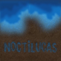 Noctilucas - Single - Luz Maria