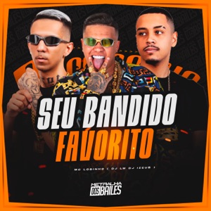 Seu Bandido Favorito
