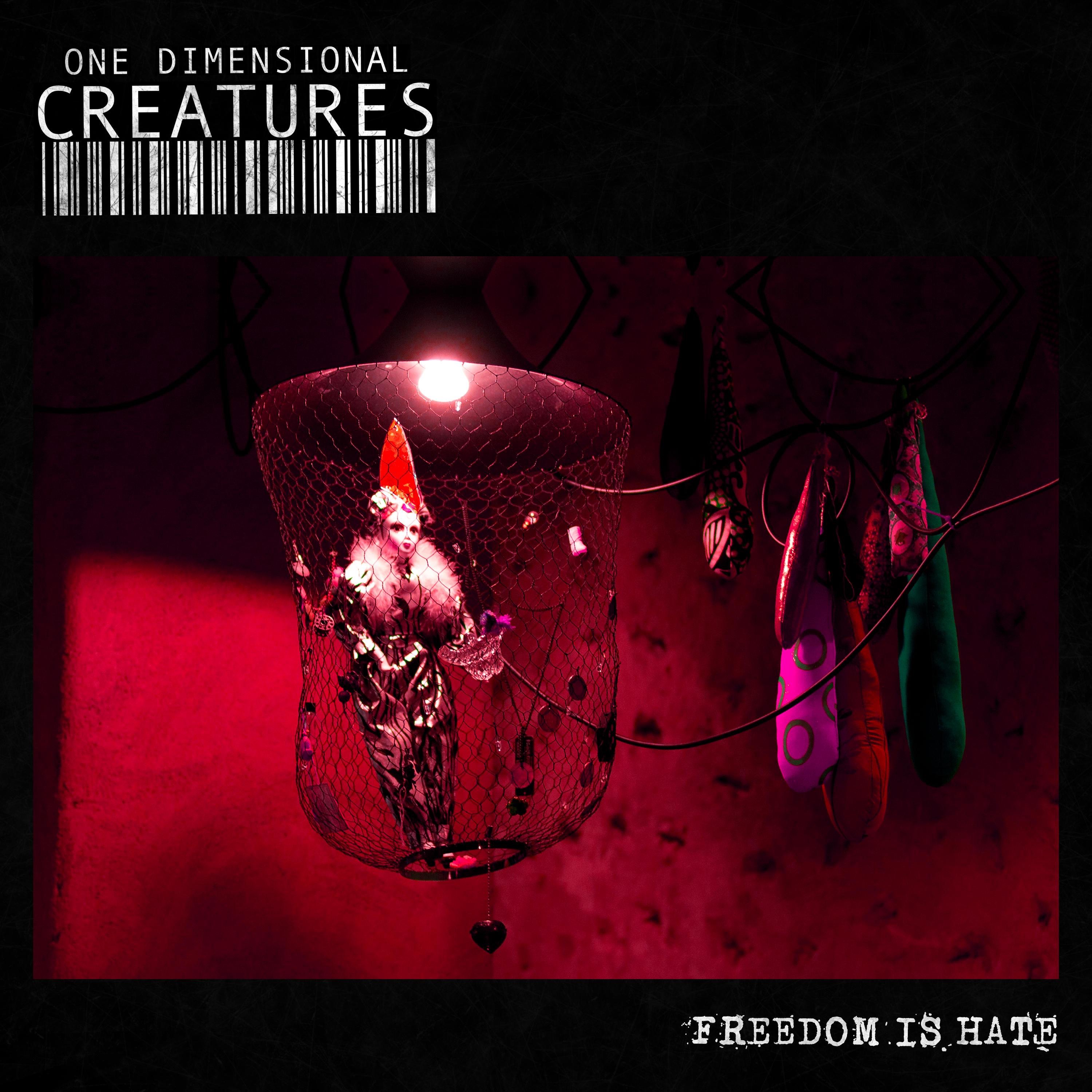 Freedom is Hate - Single