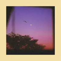 Natural Super Chunk — Skippy Smooth & True School Records