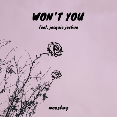 Won't You (feat. Jacquie Joshua) - Single