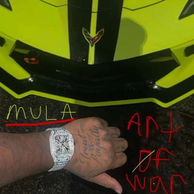 Art Of War (No $kips)