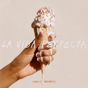 La Vida Perfecta - Single