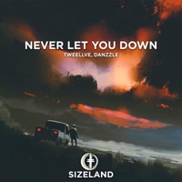 Never Let You Down - Single - Tweellve & Danzzle