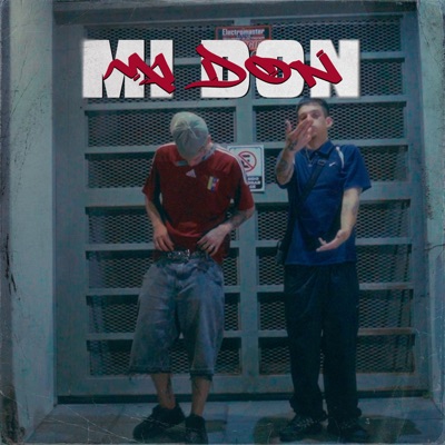 Mi Don (feat. Veed & Aries Beatz) - Single