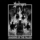Shadows of the fallen song art