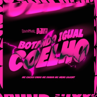 Botando Igual Coelho - Single