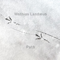 Path (feat. Karl-Martin Almqvist, Cornelia Nilsson, Johnny Åman & Landæus Trio) - Mathias Landaeus