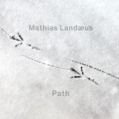 Path (feat. Karl-Martin Almqvist, Cornelia Nilsson, Johnny Åman & Landæus Trio)