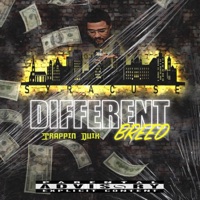 DIFFERENT BREED - Trappin Quik