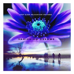 Vanishing Dreams