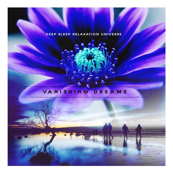 Vanishing Dreams