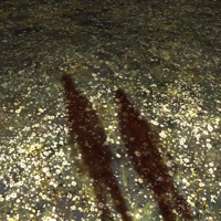 ромашковое поле - Single - najtivyhod