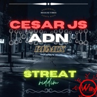 ADN (feat. DjWillyintheMix) - Single - Cesar JS