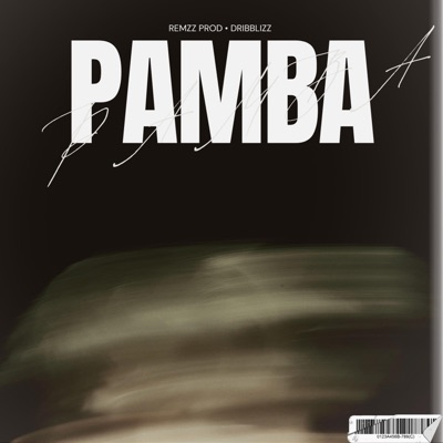 Pamba (feat. Dribblizz) - Single