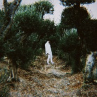 ישראל - Toni Jino