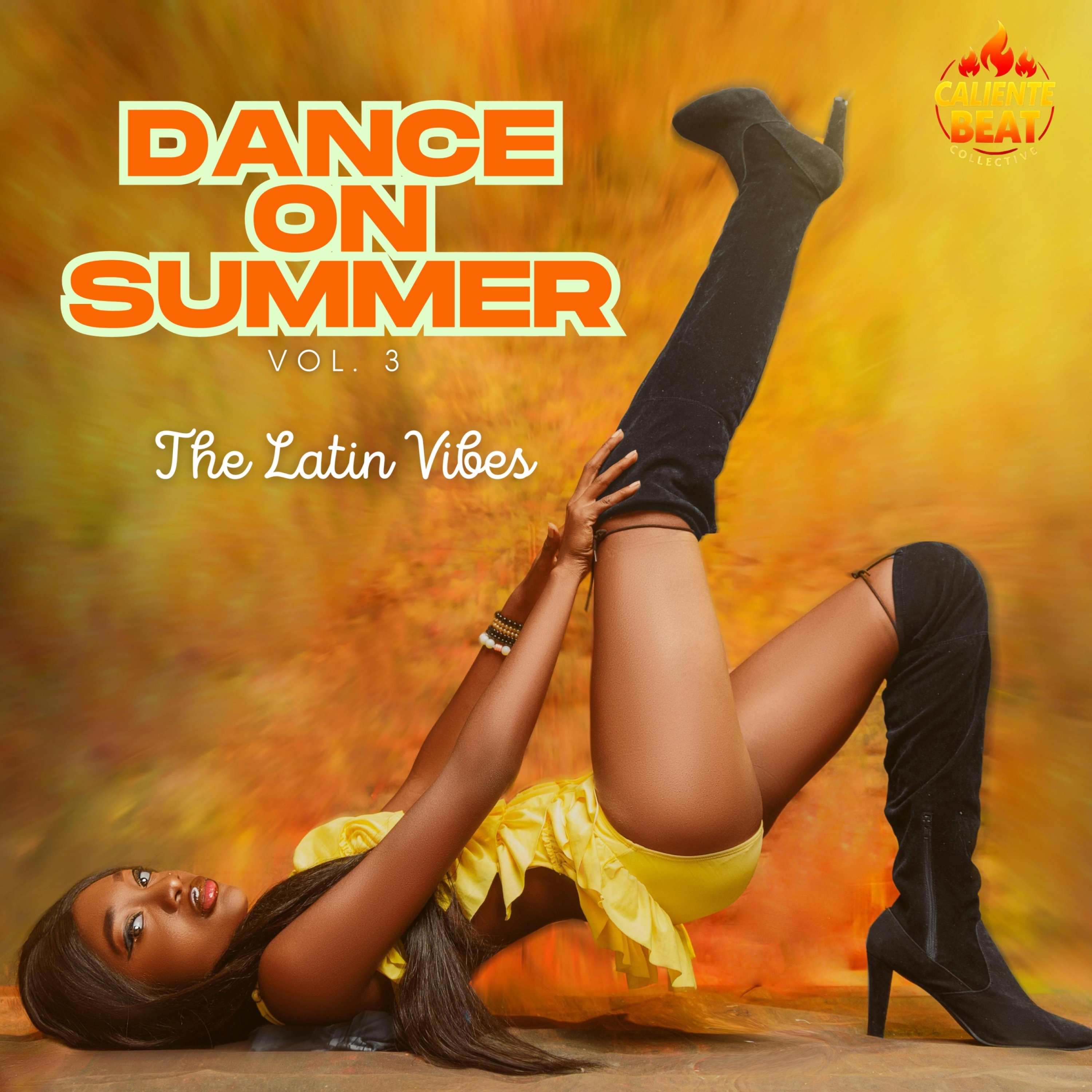 Dance On Summer, Vol. 3 - the Latin Vibes