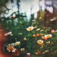 Gratitude - EP - Lawrence Libert